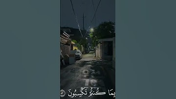 الأن وقد كنتم به تستعجلون /للقارئ عبدالرحمن مسعد
