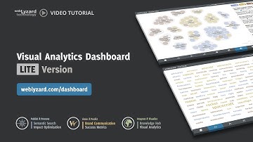 Lite Version of the webLyzard Visual Analytics Dashboard