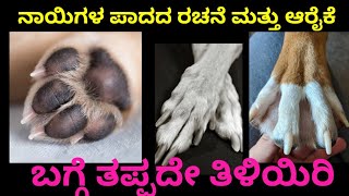 Dog paw pad details in Kannada