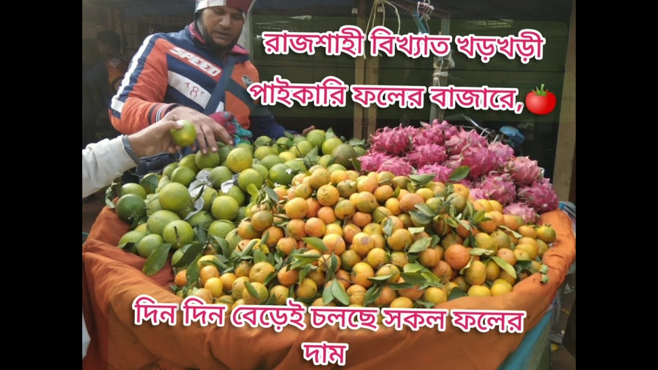 রাজশাহী বিখ্যাত খড়খড়ী বাজারে বেড়েছে চলছে সকল ফলের পাইকারি দাম।কমলা,মাল্টা ড্রাগন,পেয়ারার দাম!