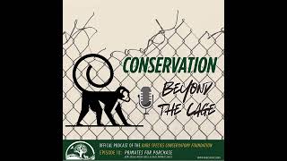 Primates for Purchase - How Social Media Fuels the Illegal Primate Trade