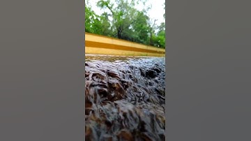 Poco F1 camera test #shorts #pocof1 #cameratest