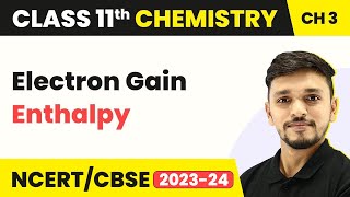 Electron Gain Enthalpy | Class 11 Chemistry Chapter 3- Classification of Elements|Class 11 Chemistry