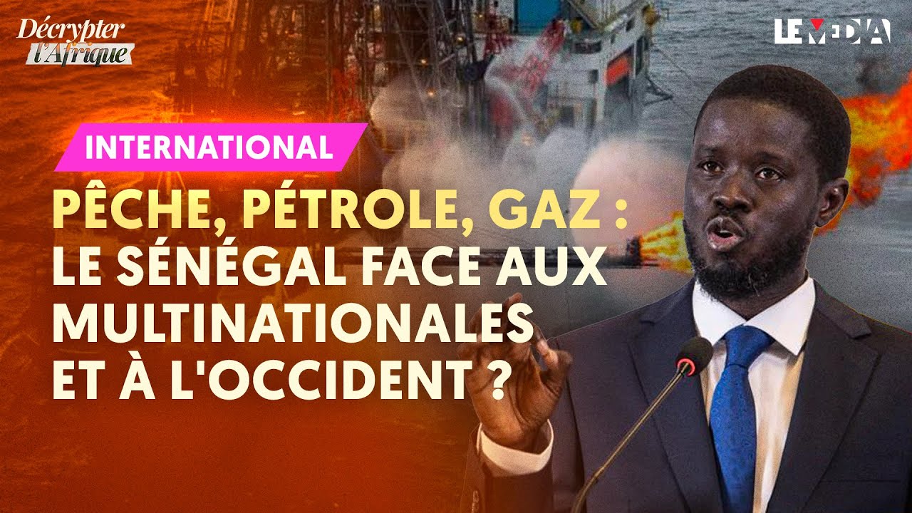 PCHE PTROLE GAZ  LE SNGAL FACE AUX MULTINATIONALES ET  LOCCIDENT 