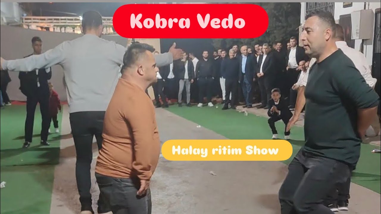 Kobra Vedo halay Show 