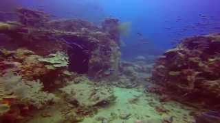 Truk Lagoon Sea Life