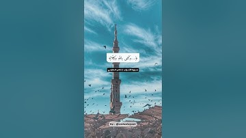 [لِيُخرِجَكُم مِنَ الظُّلُماتِ إِلَى النّورِ ] لمحات أيوبية للقارئ ناصر الحازمي