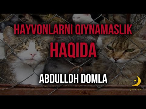 Хайвонларни АЗОБЛАМАСЛИК хақида | Абдуллох Домла, Hayvonlarga AZOB bermaslik haqida | Abdulloh Domla