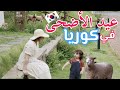 فلوق العيد في كوريا كيفاش جوزنا يومنا المتواضع حاولنا نخلقو جو