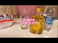 ハイボールを作るだけ/Whiskey and soda