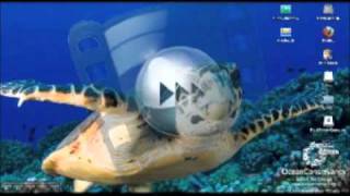 Mac Reviews 2 - Screen Shot Tutorial