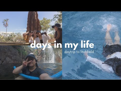 days in my life | spontaneous daytrip to litchfield, long walks and swimming