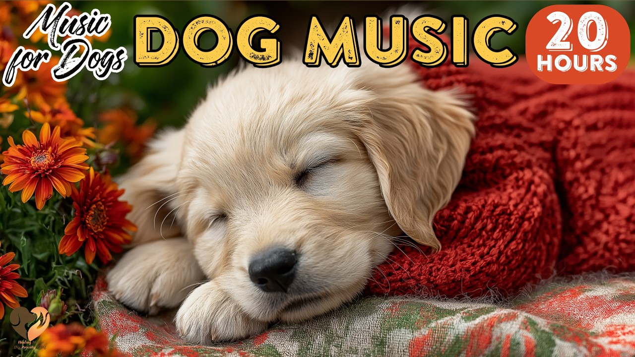 20 HOURS of Dog Calming Music🐶🎵Dog Sleepy Music🐶💖Gentle Relaxing Mood⭐Healingmate