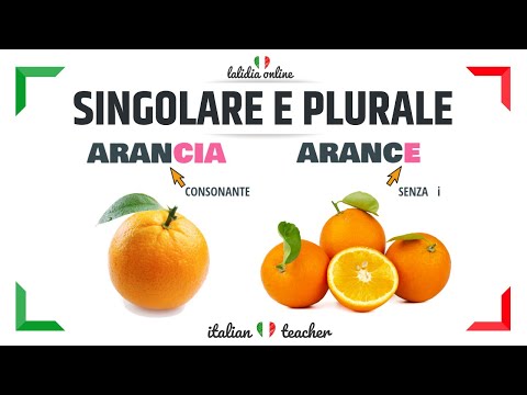 SINGOLARE e PLURALE (+ Easy Exercises) - GRAMMAR - Italian for Beginners