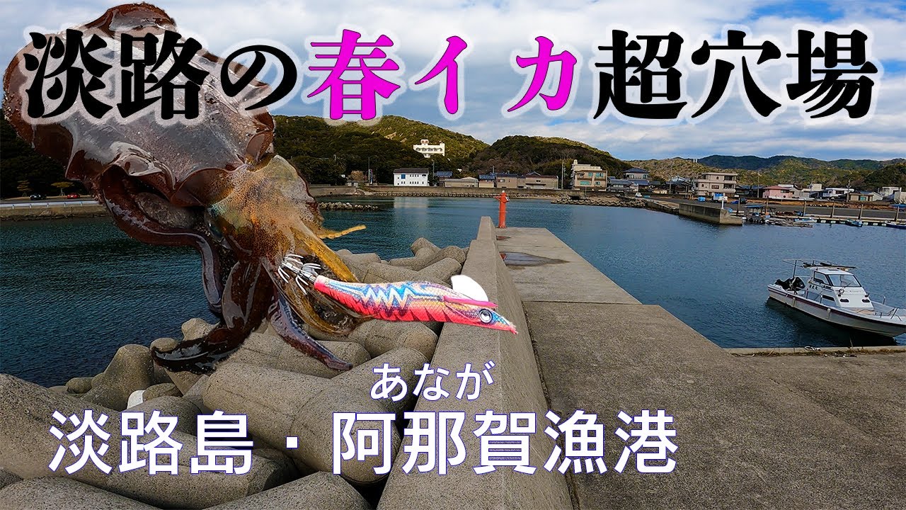 【釣り場動画#123】淡路島エギングの穴場、春のアオリイカを狙うなら阿那賀漁港へ行ってみよう