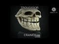 Troleador craneo