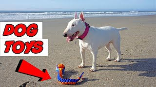 Dog Toys Our Bull Terrier Likes by Feenix the Funny Singing Dog 216 views 2 years ago 3 minutes, 7 seconds