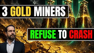The Smart Money Shift: Why These 3 Gold Miners Refuse to Crash