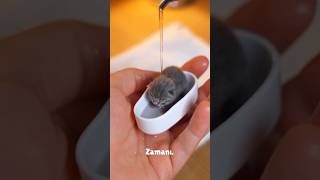 Bu Kadar Küçükken Neden Kendini Tamamen Bıraktı