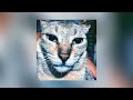 Slxughter Vanity Slowed Reverb TikTok Remix