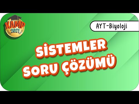 Sistemler Karma Soru Çözümü | AYT Biyoloji #biyolojik