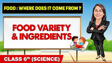FOOD : WHERE DOES IT COME FROM ? in 1 Shot || Class 6th Science || Champs Pro