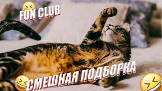 ✅✅✅ ЛУЧШИЕ ПРИКОЛЫ ЗИМЫ  2022/ ПОПРОБУЙ НЕ ЗАСМЕЯТЬСЯ / ПРИКОЛЫ /CМЕШНЫЕ ЖИВОТНЫЕ /10 МИНУТ СМЕХА