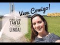 VISITANDO LOJAS DE FESTA | VLOG | Mania de Fita