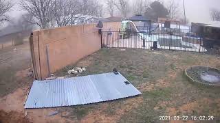 Water Well Shed Blows Away While Windstorm Hits City in Texas - 1186292
