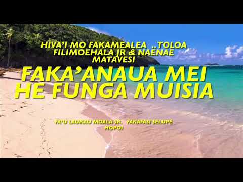 Faka’anaua mei he funga Muisia (Matuku Lulunga)