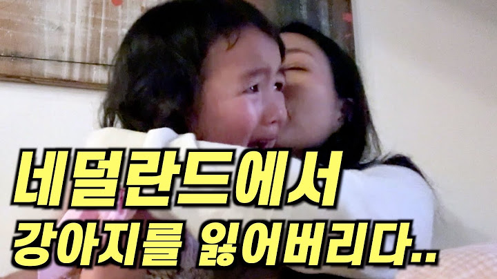 네덜란드 시골에서 한국에서 온 강아지를 잃어버렸어요..