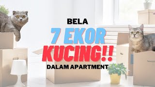 Tips penjagaan kucing yang BANYAK, rumah kekal bersih dan wangi