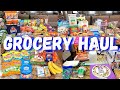 New massive grocery haul  aldi walmart dollar general  dollar tree