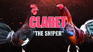CLARET GAMEFOWL BLOOLINE, Fighting Style and History
