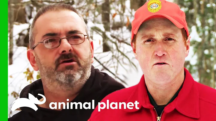 Investigating Illegal Bait For Deer Hunting | North Woods Law