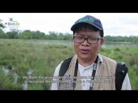 សម្លាញ់ក្របី វីឌីអូបង្ហាញពីសារសំខាន់នៃក្របីស្រុកក្នុងកិច្ចការអភិរក្សសត្វព្រៃ (Buffalo Friend)