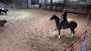 Valley View Ranch - Nic Dreamy - sorting 2