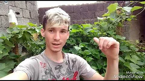 O que é que a rã come?