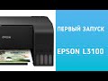 Epson L3100 | Первый запуск