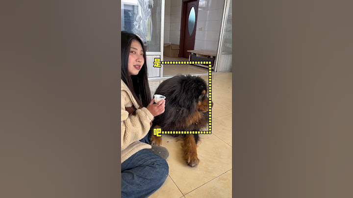 加布又又又偷吃酸奶【藏獒加布】 #dog #pets #加布 #萌宠 #藏獒 #宠物 #狗狗 #可爱 #shorts