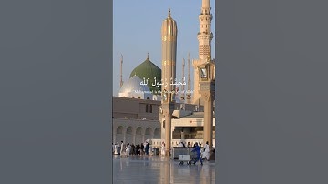 ياسر الدوسري تلاوة هادئة ومؤثرة للقرآن الكريم #ياسر_الدوسرى #short