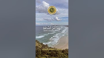 سورة النحل الآية 77 تلاوة الشيخ خالد الجليل