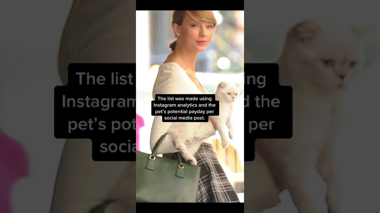 Taylor Swift S Cat Is Worth 97M Among World Richest Pets Report Shorts Page Six