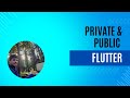 Dart Private ve Public Mantığı nedir?