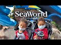 Kids First Time At The Sea World San Diego | VLOG