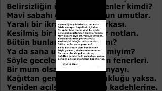 Kudret Alkan Aşk 14