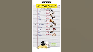 10 animals name in english || wild pet animals name || name of wild animals || जंगली जानवरों के नाम