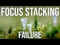 Macro focus stacking: How I do it and why I failed