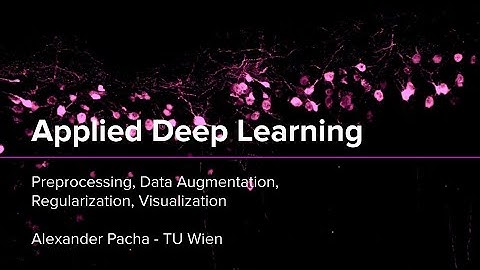 Applied Deep Learning 2025 - Lecture 9 - Preprocessing, Augmentation, Regularization, Visualization
