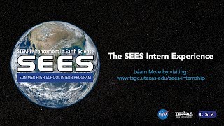 The SEES Intern Experience